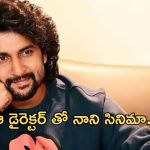 Nani : ఆ డైరెక్టర్ కు నాని మరో ఛాన్స్.. స్టోరీ లైన్ అదిరింది మామా..