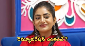 Nayani Pavani: బిగ్ బాస్ నుంచి నయని అవుట్.. ఎంత రెమ్యూనరేషన్ తీసుకుందంటే?