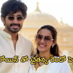 Jonnalagadda Chaithanya : ఆ హీరోయిన్ తో నిహారిక మాజీ భర్త పెళ్లి..?