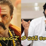 Akhanda 2 : ‘అఖండ 2’ లో పవన్ కళ్యాణ్.. ఇదే నిజమైతే థియేటర్లు చిరిగిపోతాయి..