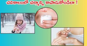 Winter Skin Care: చలికాలంలో స్కిన్ కేర్ తప్పనిసరి.. లేదంటే తిప్పలు తప్పవు