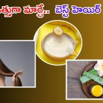 Homemade Hair Mask: మీ జుట్టును ఒత్తుగా మార్చే..  బెస్ట్ హెయిర్ మాస్క్ ఇదే !