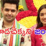 RAPO22: జంట బావుంది.. హిట్ కూడా పడితే బావుంటుంది మరీ..