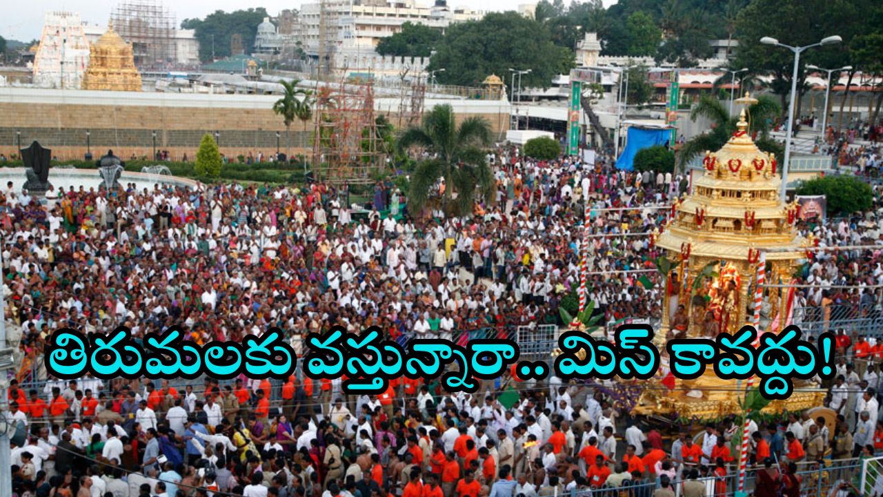 Tirumala News: నేటి నుండి బ్రహ్మోత్సవాలు.. పాల్గొంటే కలిగే భాగ్యం తెలుసా.. శ్రీవారి దర్శనం క్యూ లేటెస్ట్ అప్ డేట్