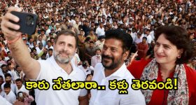 Neha Shetty : సోషల్ మీడియాకు మంటపెట్టేస్తున్న నేహా శెట్టి అందాలు