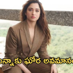Tamanaih Bhatia : తమన్నాను ఘోరంగా అవమానించిన హీరో.. పరువు మొత్తం పాయే..
