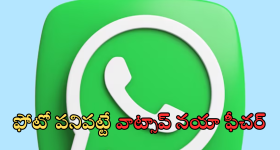 Indian Railway: ఇండియన్ రైల్వేస్ లో రెడ్, బ్లూ కోచ్‌లు, వీటిలో ఏ బోగీలు స్ట్రాంగ్? తేడా ఏమిటీ?