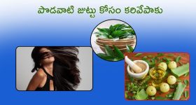 Game Changer Pre Release Event : కల నెరవేరబోతుంది... డిప్యూటీ సీఎం అయ్యాక ఫస్ట్ టైం ఒకే స్టేజ్‌పైకి బాబాయ్ - అబ్బాయ్?