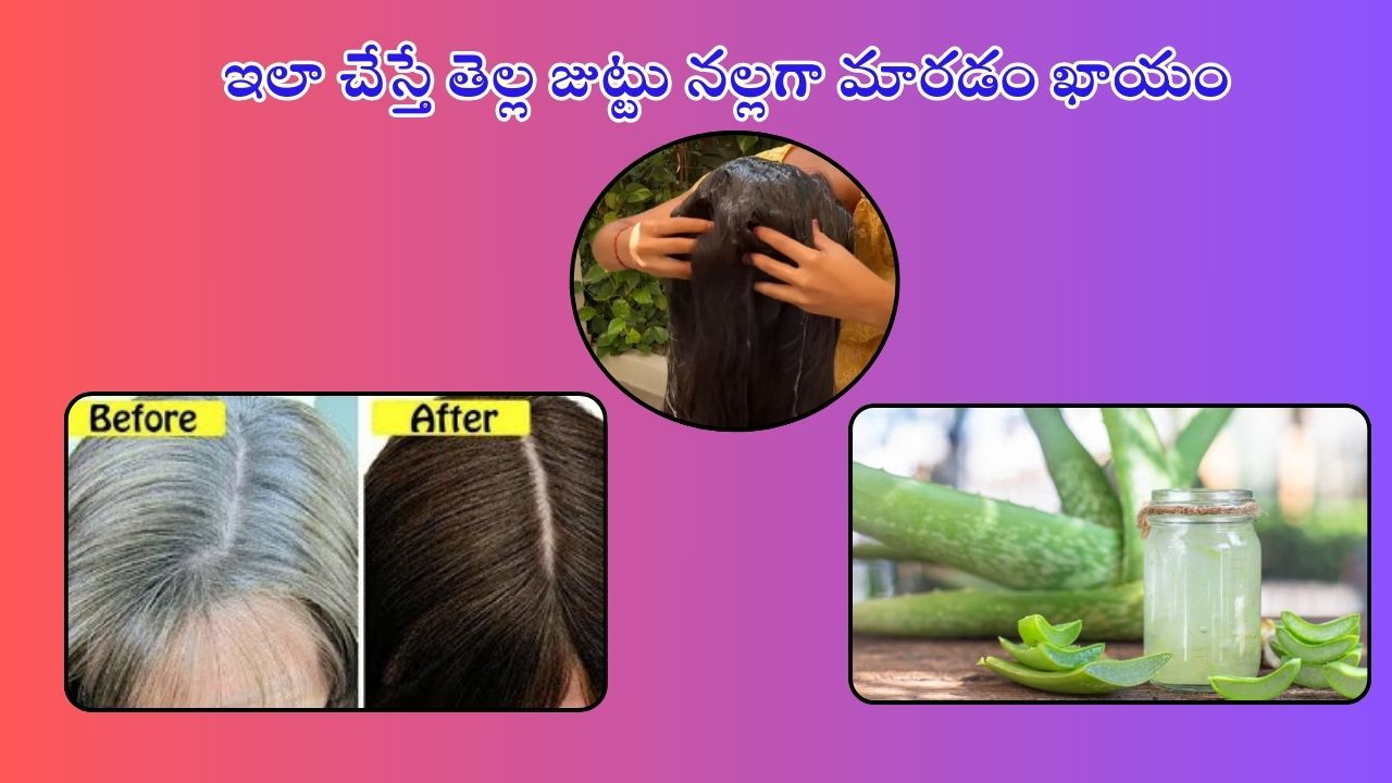 White Hair: తెల్ల జుట్టును శాశ్వతంగా నల్లగా మార్చే బెస్ట్ చిట్కా ఇది..!