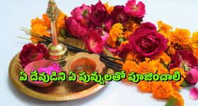 AP Mid Day Meal: ఏపీ విద్యార్థులకు గుడ్ న్యూస్.. ఇకపై మీరు కూడా ఆ పథకానికి అర్హులే