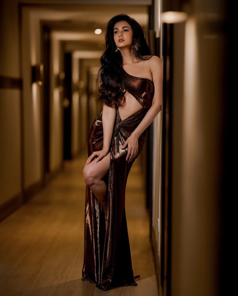 sonal chauhan (credit/instagram)