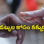 Austrian Couple: 43 ఏళ్లల్లో 12 సార్లు పెళ్ళి చేసుకుని విడాకులు‌ తీసుకుంటున్న జంట.. వీరి మాస్టర్ ప్లాన్ తెలిస్తే మతిపోవాల్సిందే!