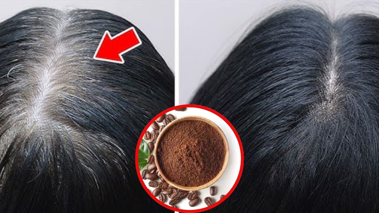 Tips For White Hair: ఇవి వాడితే.. తెల్లజుట్టు అస్సలు రాదు