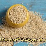 Sesame Seeds: చలికాలంలో నువ్వులు తింటే ఏం జరుగుతుందో తెలుసా ?