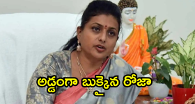 Tripti Dimri: బార్బీ డాల్ డ్రెస్సులో తృప్తి.. ఈ అందానికి కుర్రకారు దాసోహమే!