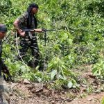 Chhattisgarh Encounter:  తుపాకుల మోతతో దద్దరిల్లిన దండకారణ్యం.. 12 మంది నక్సల్స్ మృతి
