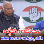 Parliament Sessions : అంబేద్కర్ కు అవమానం.. పక్కదారి పట్టించేందుకు బీజేపీ ప్రయత్నాలు. 