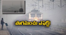 Foods For Winter: వీటిని తింటే.. డ్రై స్కిన్ సమస్య దూరం