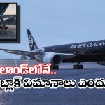 Aeroplanes – Air New Zealand: విమానాలకు ఎక్కువగా వైట్ కలర్ ఎందుకేస్తారు? న్యూజిలాండ్‌లో మాత్రం నల్ల రంగు ఎందుకు?