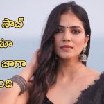 Malavika Mohanan : రాజా సాబ్ మూవీ కంప్లీట్ డీటెయిల్స్ చెప్పేసింది