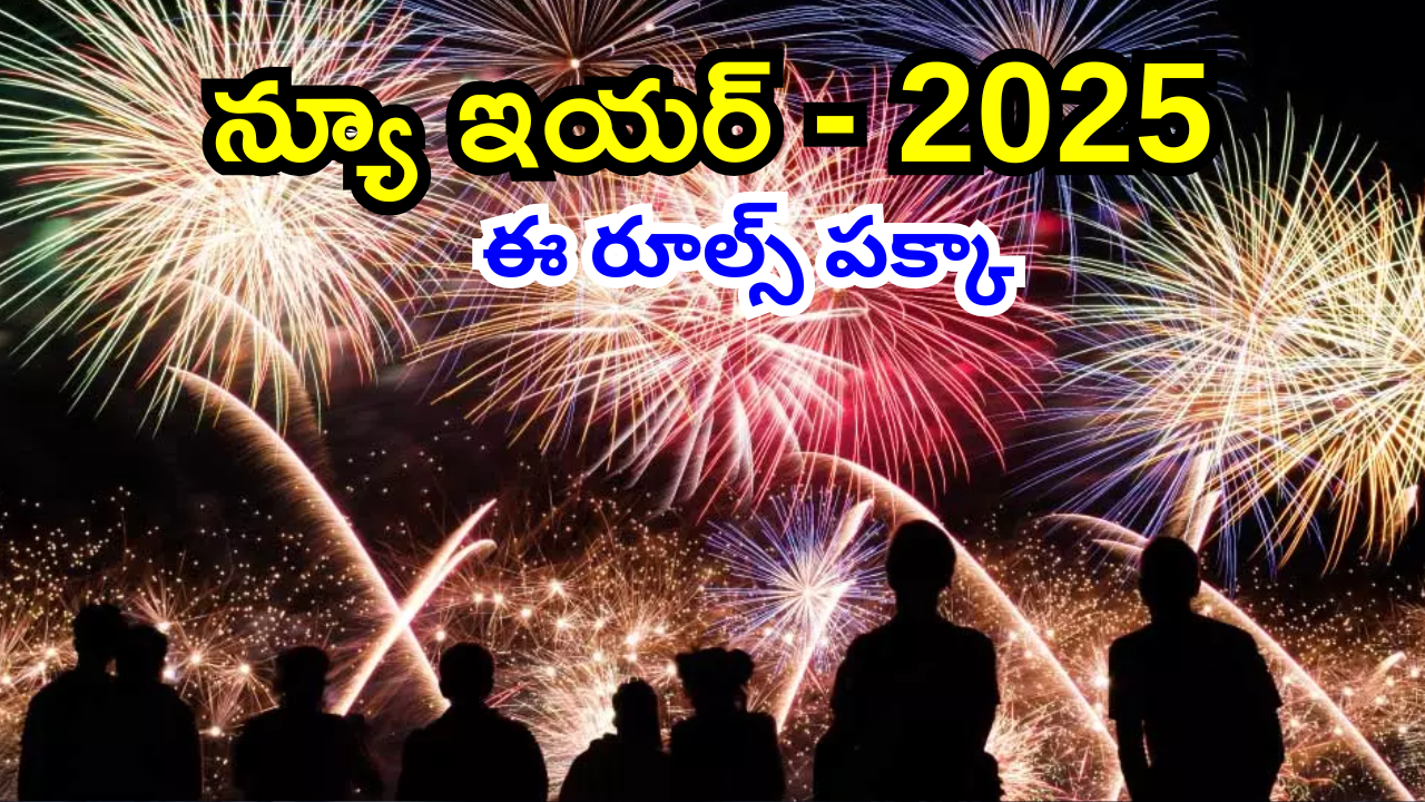 New Year 2025 : కొత్త ఏడాది వేడుకలకు నగరం సిద్దం.. ఈ అనుమతులు తప్పవంటున్న పోలీసులు