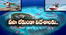 AP DGP Warning : పవన్ కళ్యాణ్ పట్టుబడితే విడువరు.. పీడీఎస్ అక్రమ రవాణా కేసులో ప్రభుత్వం కీలక నిర్ణయం