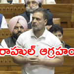 Rahul Gandhi : మాది ప్రజాస్వామ్యవాదం.. మీది మనువాదం. బీజేపీపై లోక్ సభలో రాహుల్ విమర్శలు