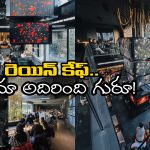 Rain Report Cafe: ఈ కేఫ్ లో 15 నిమిషాలకు ఓసారి వర్షం, కాఫీ తాగాలంటే రెయిన్ కోట్ వేసుకోవాల్సిందే!