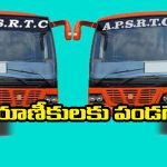 Sankranti Special Buses: సంక్రాంతి వేళ తెలంగాణ ఆర్టీసీ గుడ్ న్యూస్, హైదరాబాద్ నుంచి ఏపీకి 5 వేల స్పెషల్ బస్సులు!