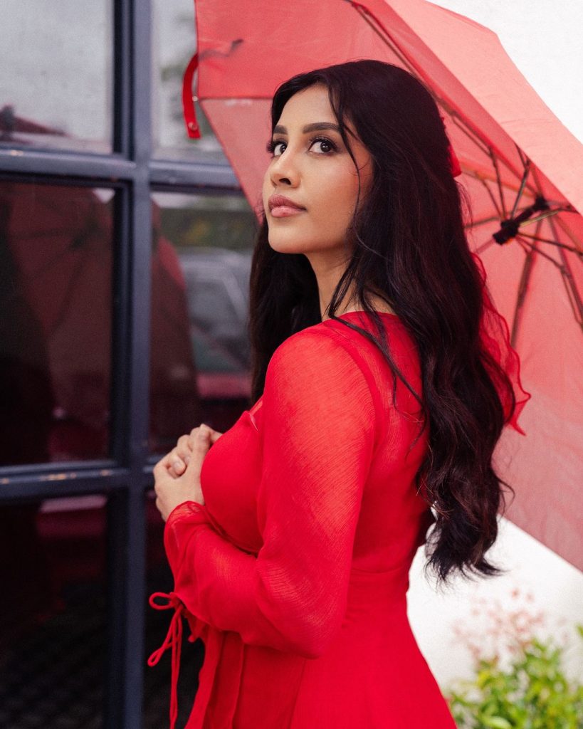 Nabha Natesh(Image Credit/Instagram)