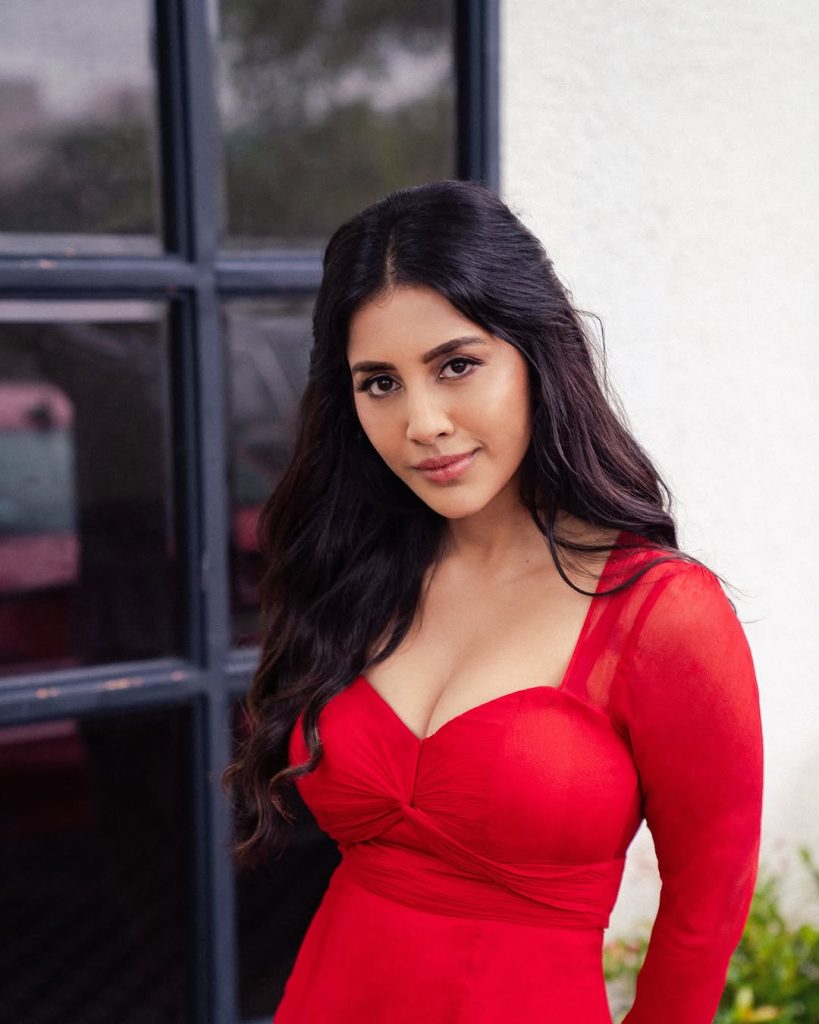 Nabha Natesh(Image Credit/Instagram)