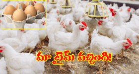 Chicken Eggs Rates Hike: అప్పుడే ఏమైంది.. ముందుంది అసలు ధర.. పెరిగిన చికెన్, గ్రుడ్ల ధరలు..