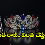 Viral Video: అనగనగా ఓ రాణి.. ఆ ఇంటికి వచ్చింది.. ఆ తర్వాత?