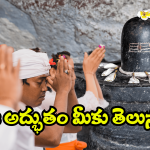 Viral News: తెలంగాణలో అద్భుతం.. తండోపతండాలుగా తరలివచ్చిన భక్తజనం