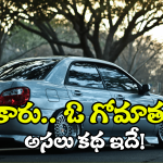 Viral News: కారు వెంటపడ్డ గోమాత.. అస్సలు కదలనివ్వలేదు