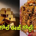 Gold In India: కొండలా పేరుకుపోతున్న పసిడి నిల్వలు.. భారత్‌లో ఎంత గోల్డ్ ఉందో తెలుసా?