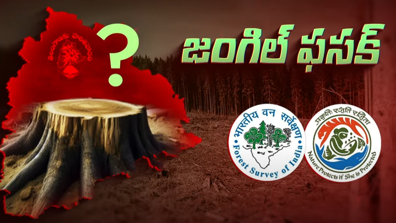 Telangana Forest: తెలంగాణలో అటవీ విస్తీర్ణం తగ్గిందా..? కారణాలు ఇవే!