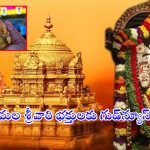 TTD News: తిరుమల శ్రీవారి భక్తులకు గుడ్‌న్యూస్‌.. స్వామిని దర్శించుకుంటే చాలు.. అడిగినన్నీ లడ్డూలు