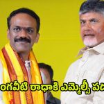 Vangaveeti Radha: వంగవీటి రాధాకి ఎమ్మెల్సీ పదవి.. చంద్రబాబు నయా స్కెచ్