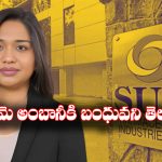 Vidhi Shanghvi: 4 లక్షల కోట్ల ఫార్మా సామ్రాజ్యానికి వారసురాలు, ఇంతకీ ఎవరీ విధి శాంఘ్వీ?