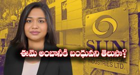 Vidhi Shanghvi: 4 లక్షల కోట్ల ఫార్మా సామ్రాజ్యానికి వారసురాలు, ఇంతకీ ఎవరీ విధి శాంఘ్వీ?