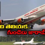 Watch Video: గాల్లోకి ఎగిరి.. పక్షిలా రెక్కలు విదిల్చి.. భయపెట్టిన బోయింగ్ ఫ్లైట్, కానీ..