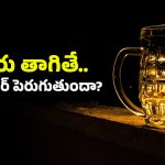 Beer and Hair: బీరు తాగితే జుట్టు పెరుగుతుందా? ఇది ఎంతవరకు నిజం?