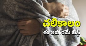 Winter Foods: ఈ చలిని తట్టుకోవాలంటే.. మీరు తినే ఆహారంలో ఇది ఎక్కువ ఉండాలి