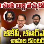 Congress MP: పవన్ కు థ్యాంక్స్.. అంబటికి సినిమా ఛాన్స్.. కాంగ్రెస్ ఎంపీ కామెంట్స్