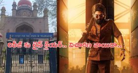 Case on Pushpa 2 : కుటుంబం మొత్తం మూవీకి వెళ్తే 10 వేలు ఖర్చు  చేయాలా... పుష్ప 2పై హై కోర్టు సీరియస్