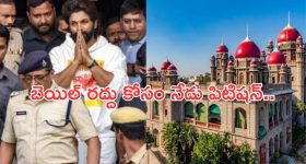 Allu Arjun Case: బన్నీ మెడకు బిగుస్తున్న ఉచ్చు.. బెయిల్ క్యాన్సిల్ చేయాలంటూ పిటిషన్..?