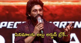 Allu Arjun : సినిమాలకు అల్లు అర్జున్ బ్రేక్.. ఏమైంది అన్నా ఇంత గ్యాప్ తీసుకుంటున్నావ్...