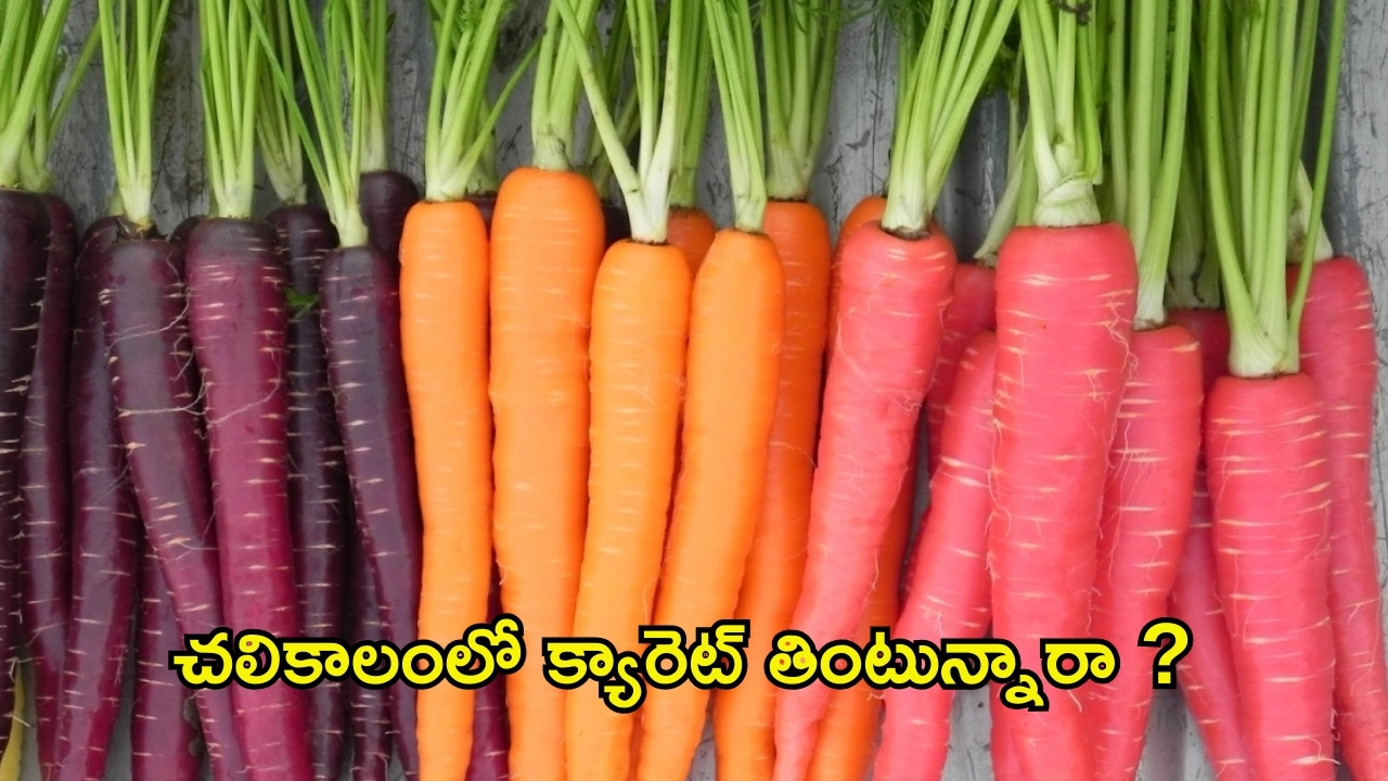 Carrot: చలికాలంలో క్యారెట్ తింటున్నారా ?