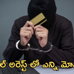 Digital Arrest : అయ్యో పాపం! చార్టెడ్ అకౌంటెంట్..  ఇలా ఎలా మోసపోయాడు!
